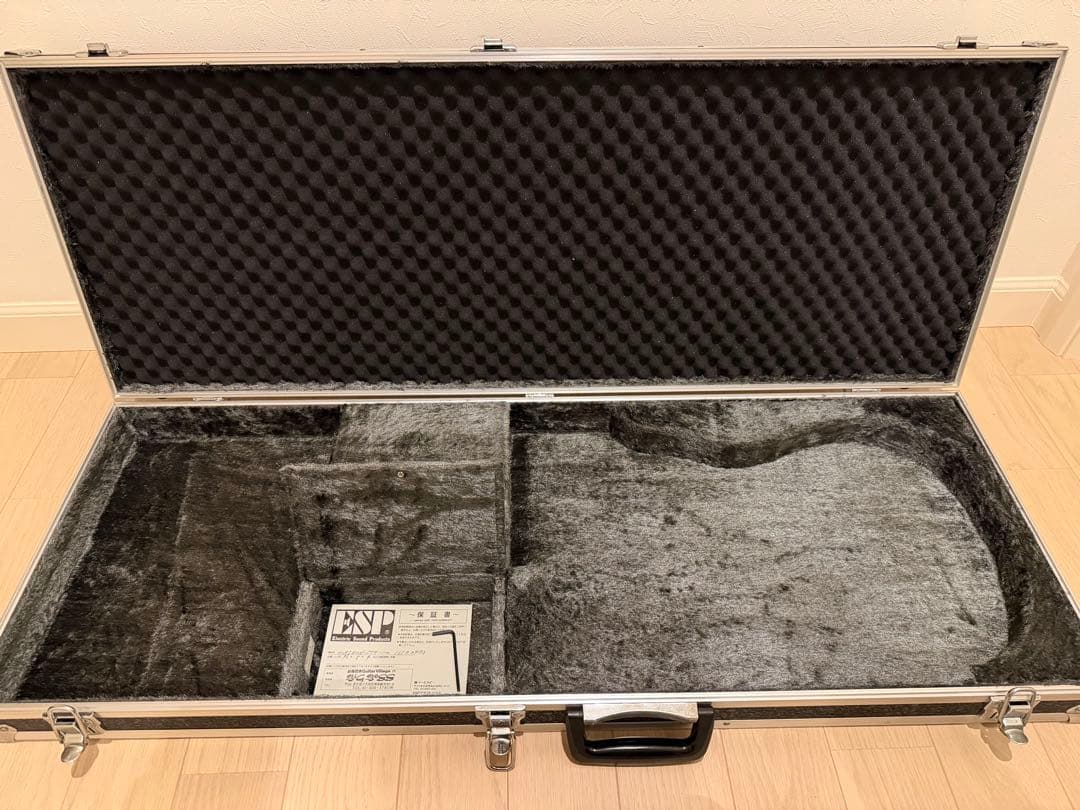 ESP ホライゾンギター　ハードケース付き