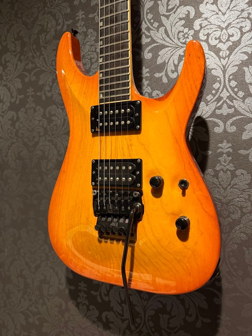 ESP ホライゾンギター　ハードケース付き