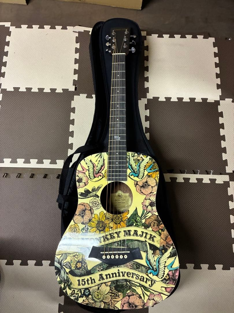 MONKEY MAJIK 15th Anniversary ギター