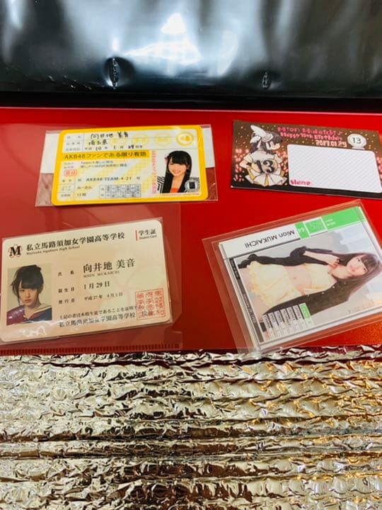 AKB48 生写真　向井地美音