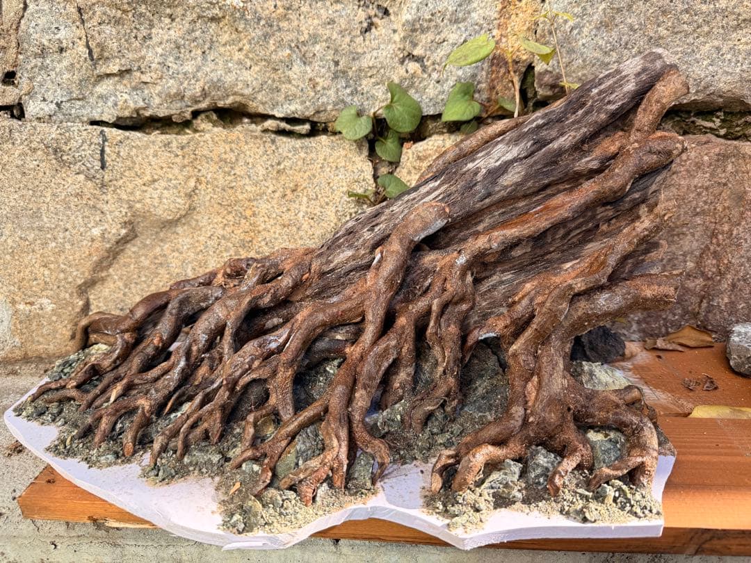 水槽用流木 大きめ 根の形状