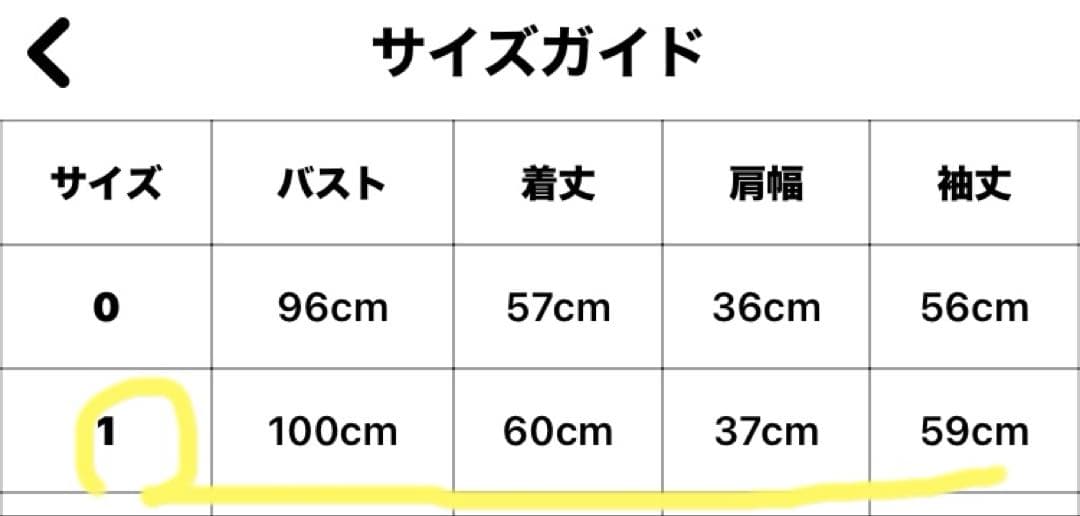 パーリーゲイツ　レディース　あったか♡裏付きクルーネックニットプルオーバー