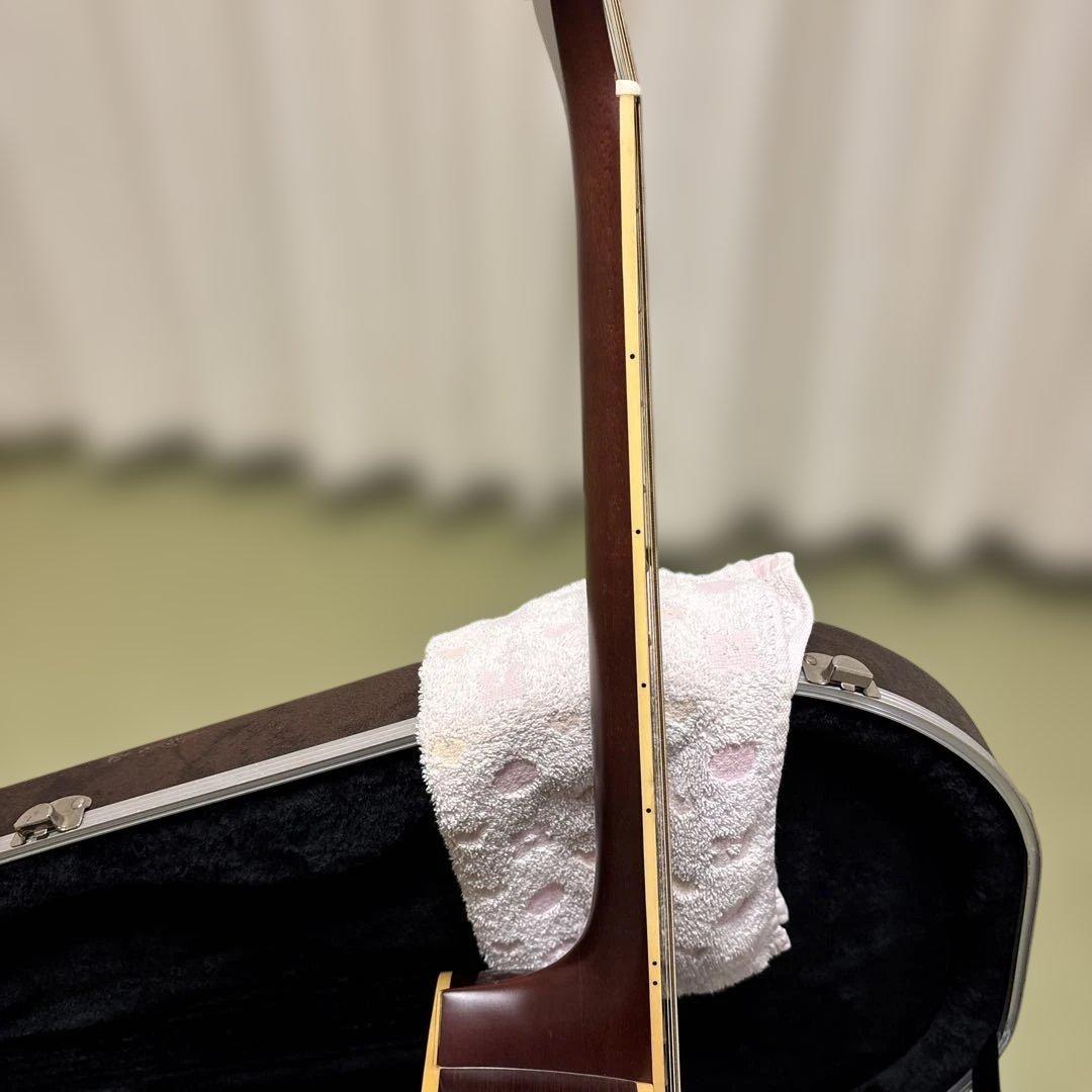 Takamine Tシリーズ アコースティックギター サンバースト