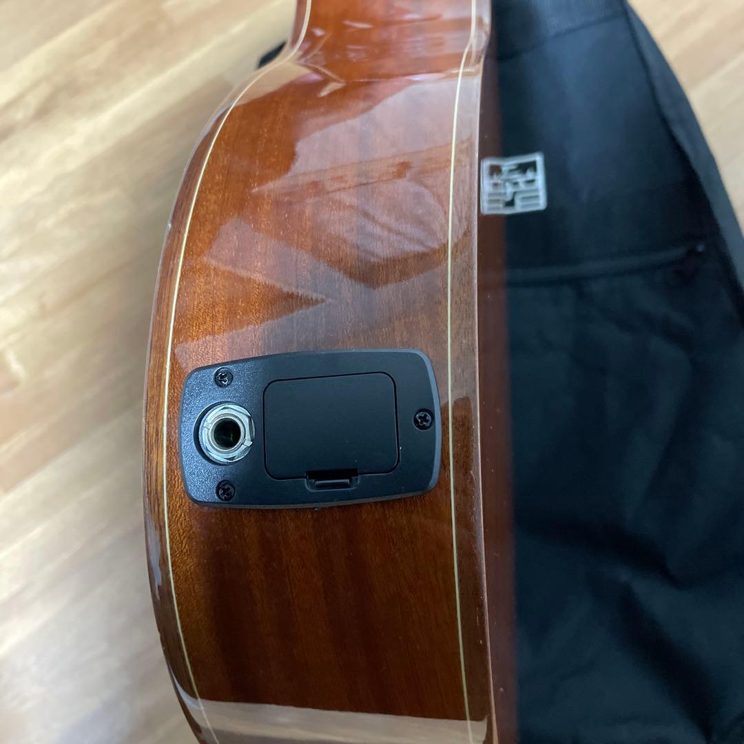 12弦 アコースティックギター　音音‼️