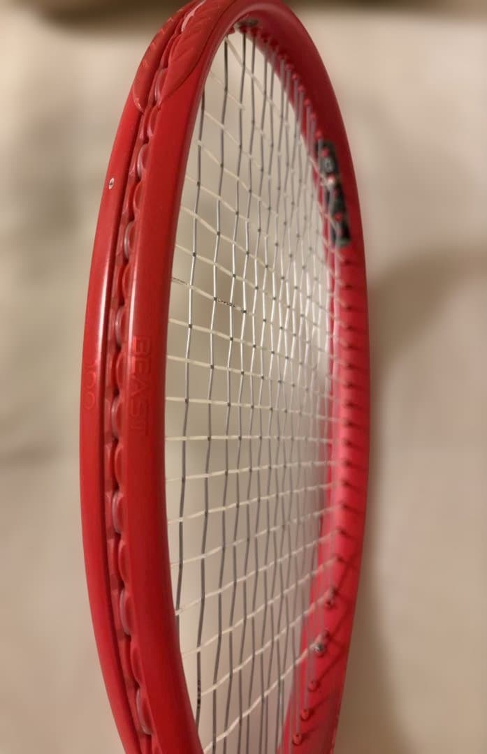 プリンス　BEAST100 300g