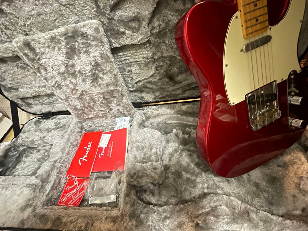 Fender American Professional テレキャスターMN