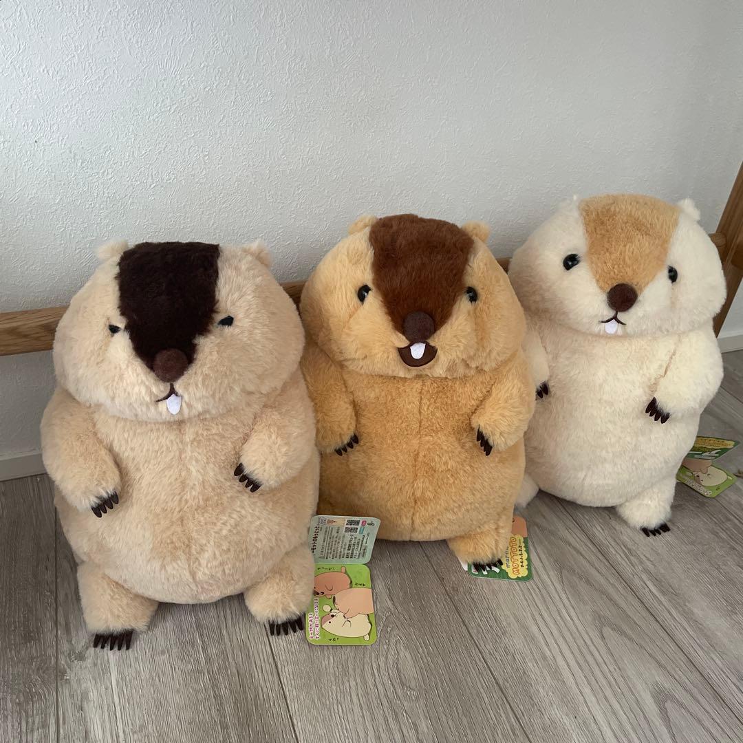 マーモットのもっとっとJB ぬいぐるみ　もっとっと　はまもと　アー太郎