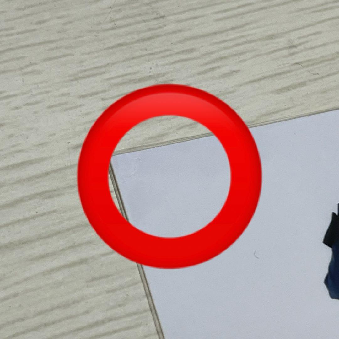 櫻坂46　幸阪茉里乃　生写真　まとめ売り　約500枚