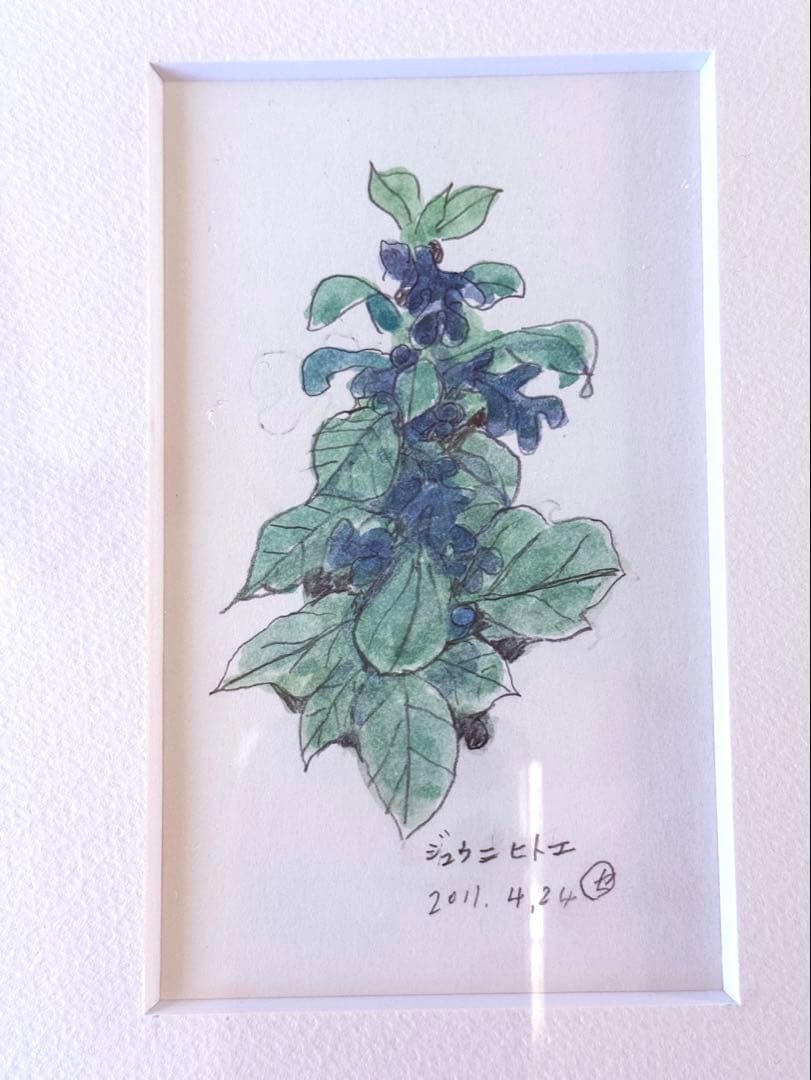 小野セツロー水彩画 小野哲平