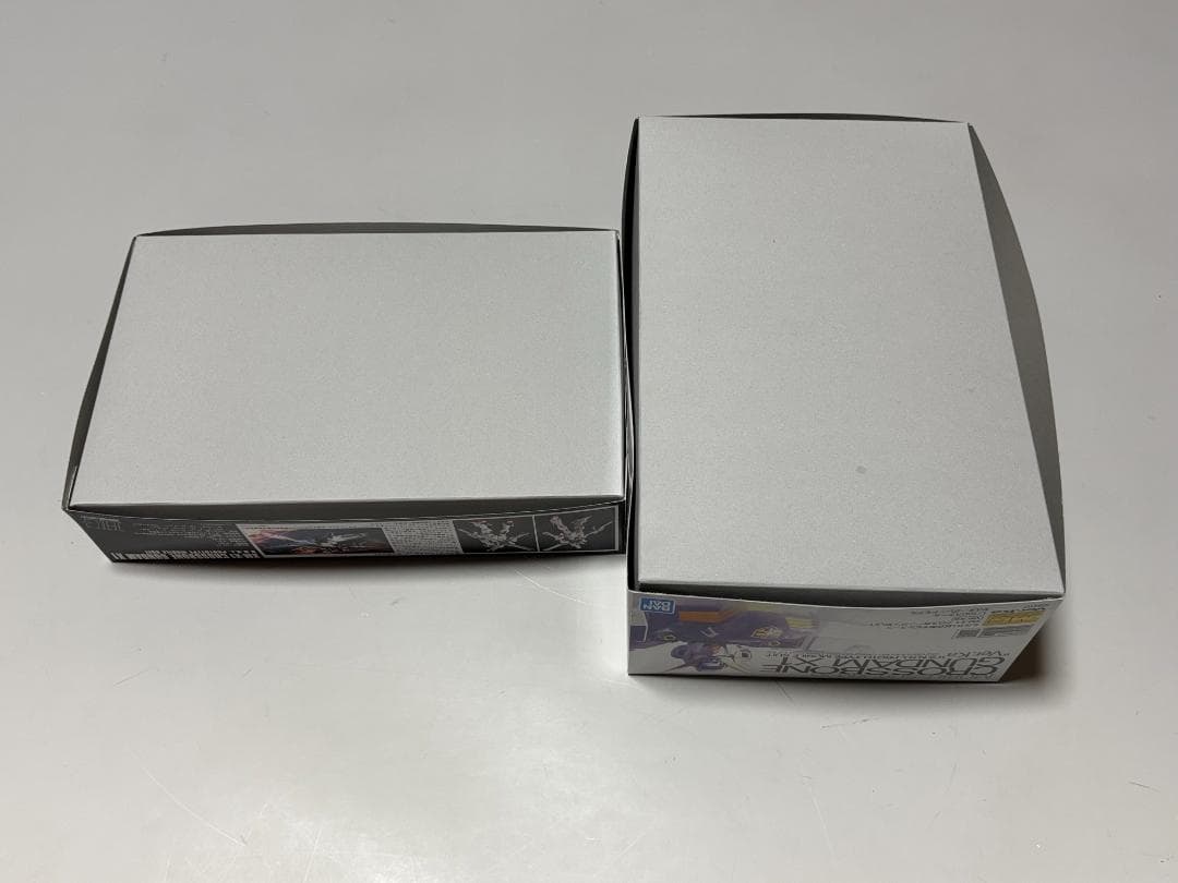 【MG HGセット】クロスボーンガンダムX1 verKa