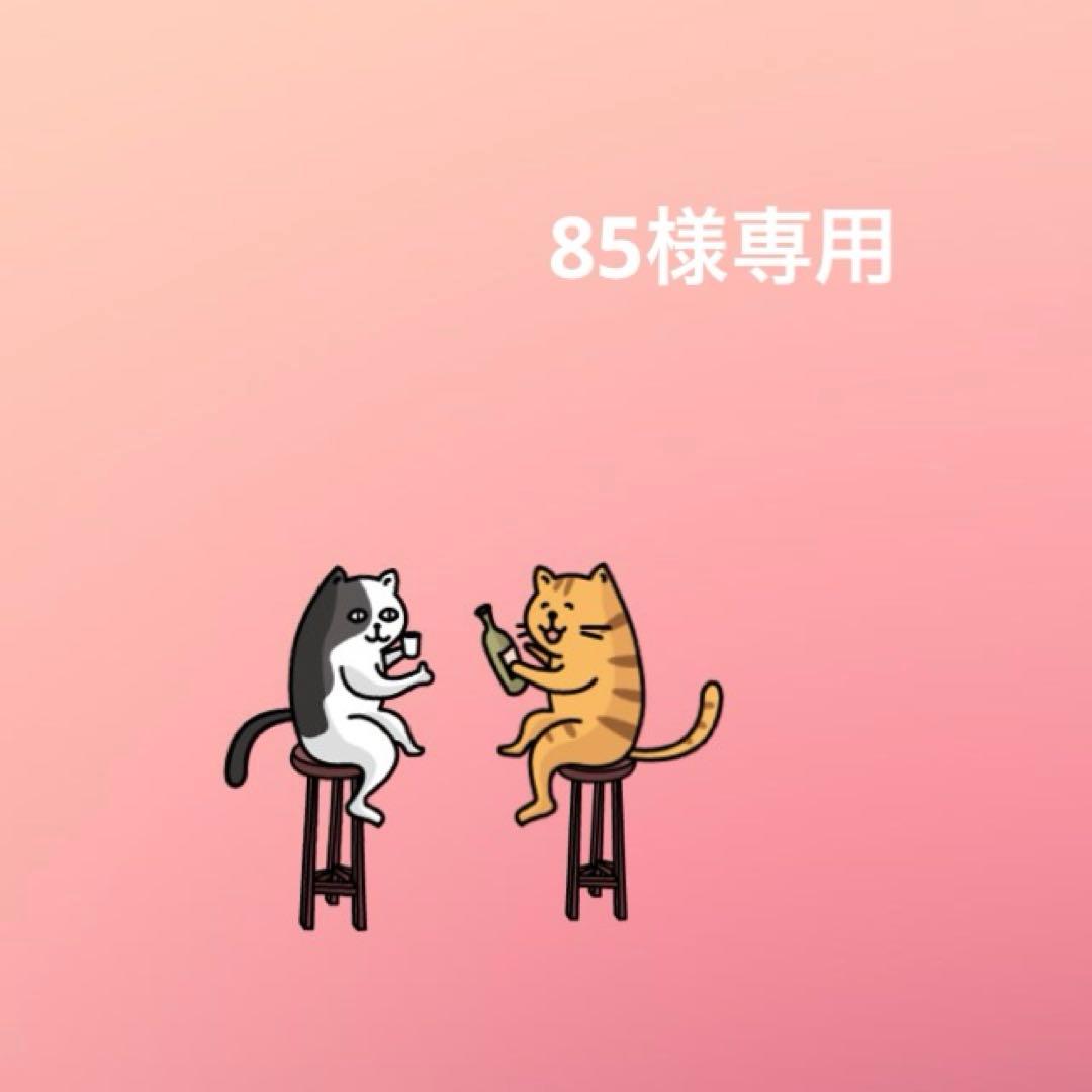 ドッグフード 85