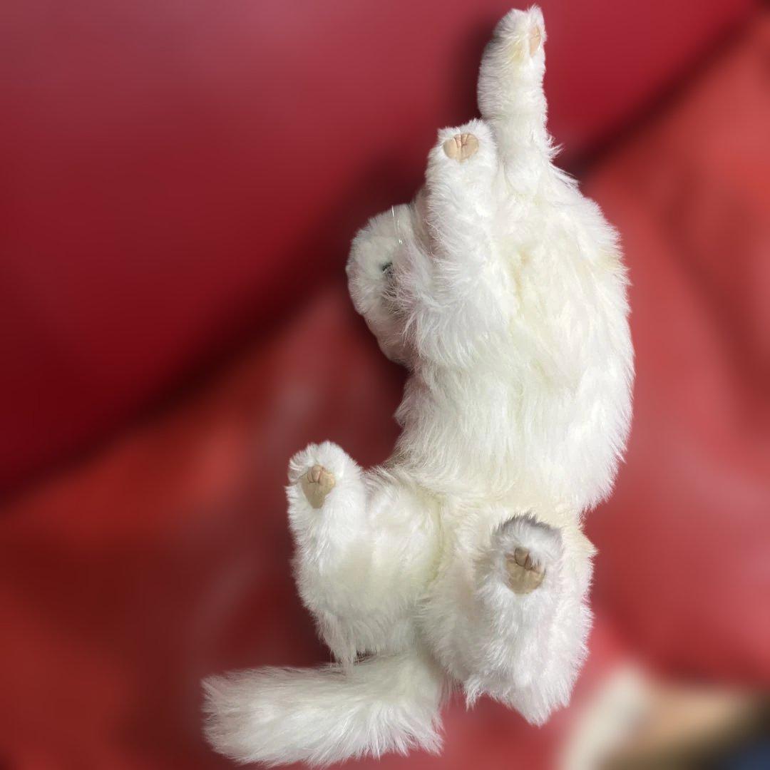 激レア！リアル！レディー・マリア　ペルシャ猫　約60センチ