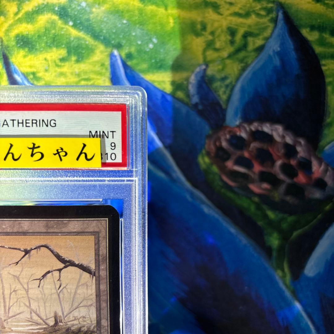 5001 (A)《沼/Swamp》[LEA] 土地　mtg アルファ　α