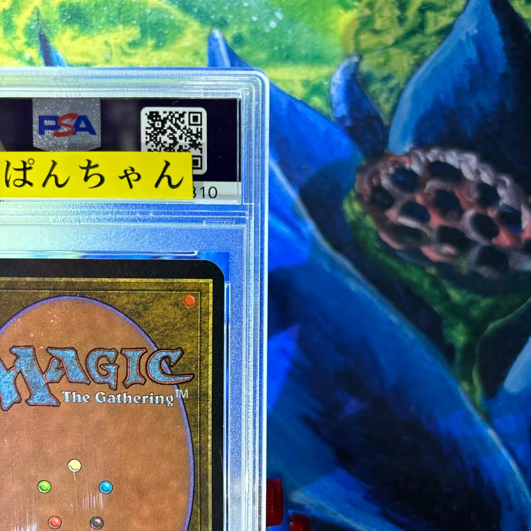 5001 (A)《沼/Swamp》[LEA] 土地　mtg アルファ　α