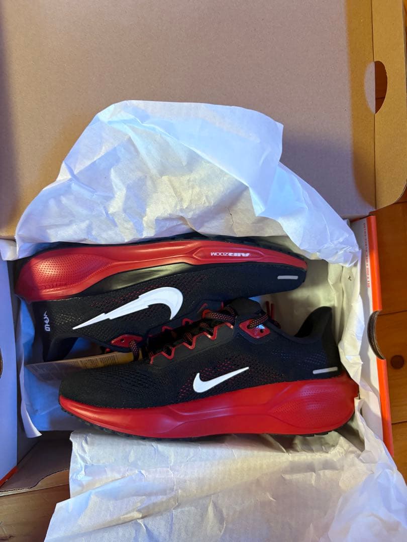 エアズームペガサス41 BTC メンズ24.5㎝