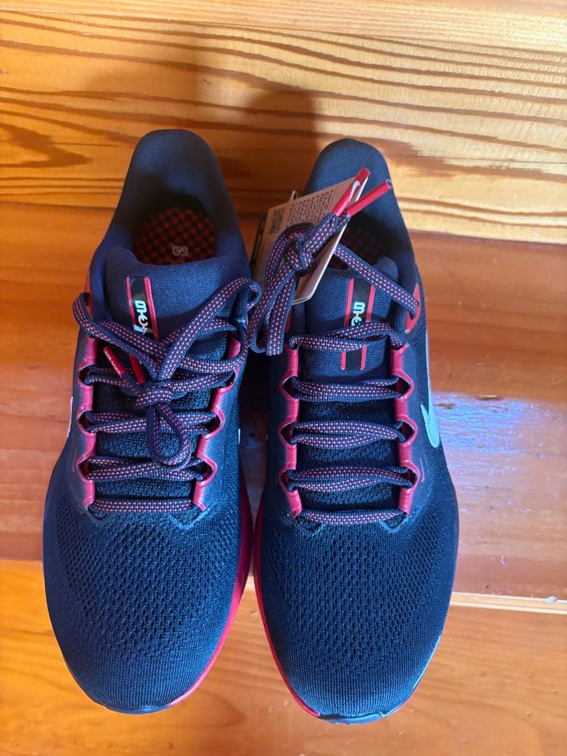 エアズームペガサス41 BTC メンズ24.5㎝