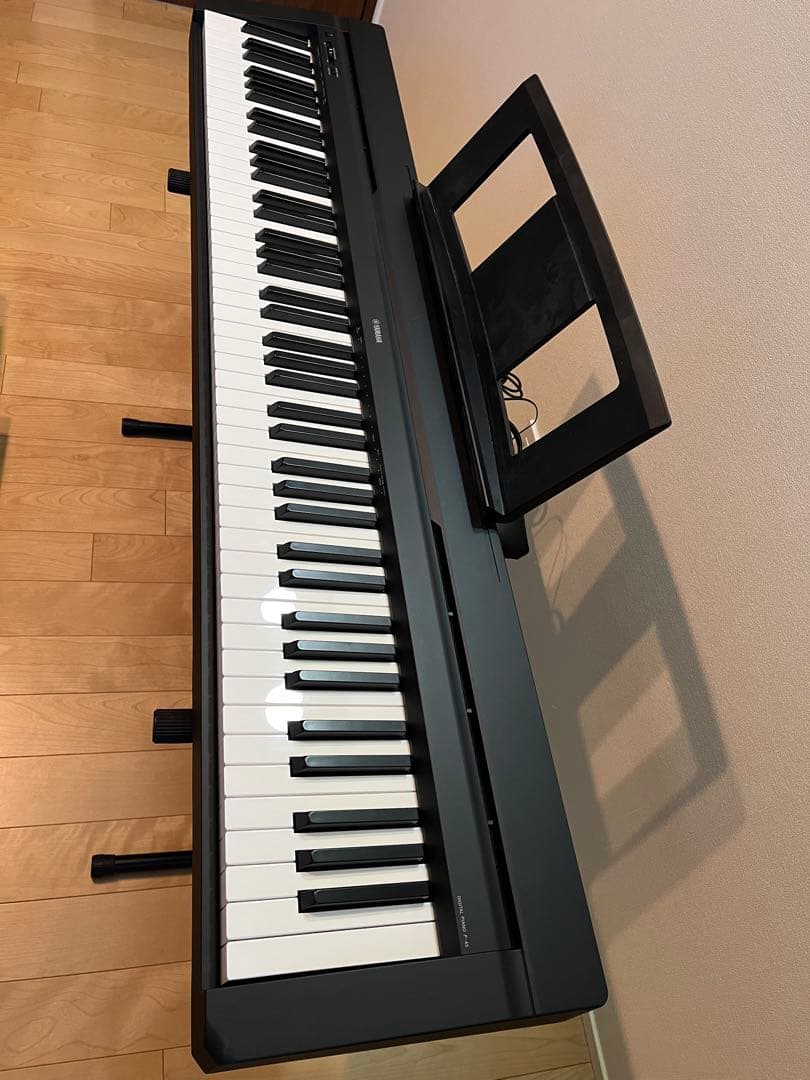 ニコ　ヤマハ　P-45B