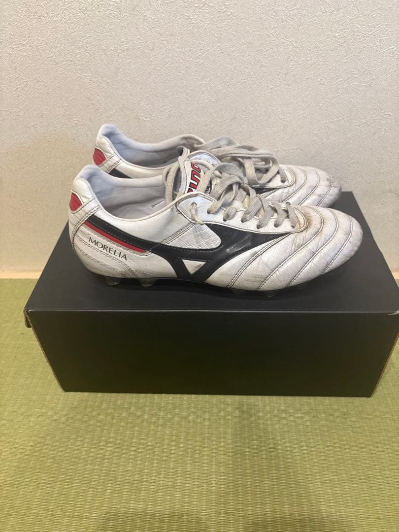 Mizuno モレリアスパイク　ザムストインソール　シューズケース　23.5cm