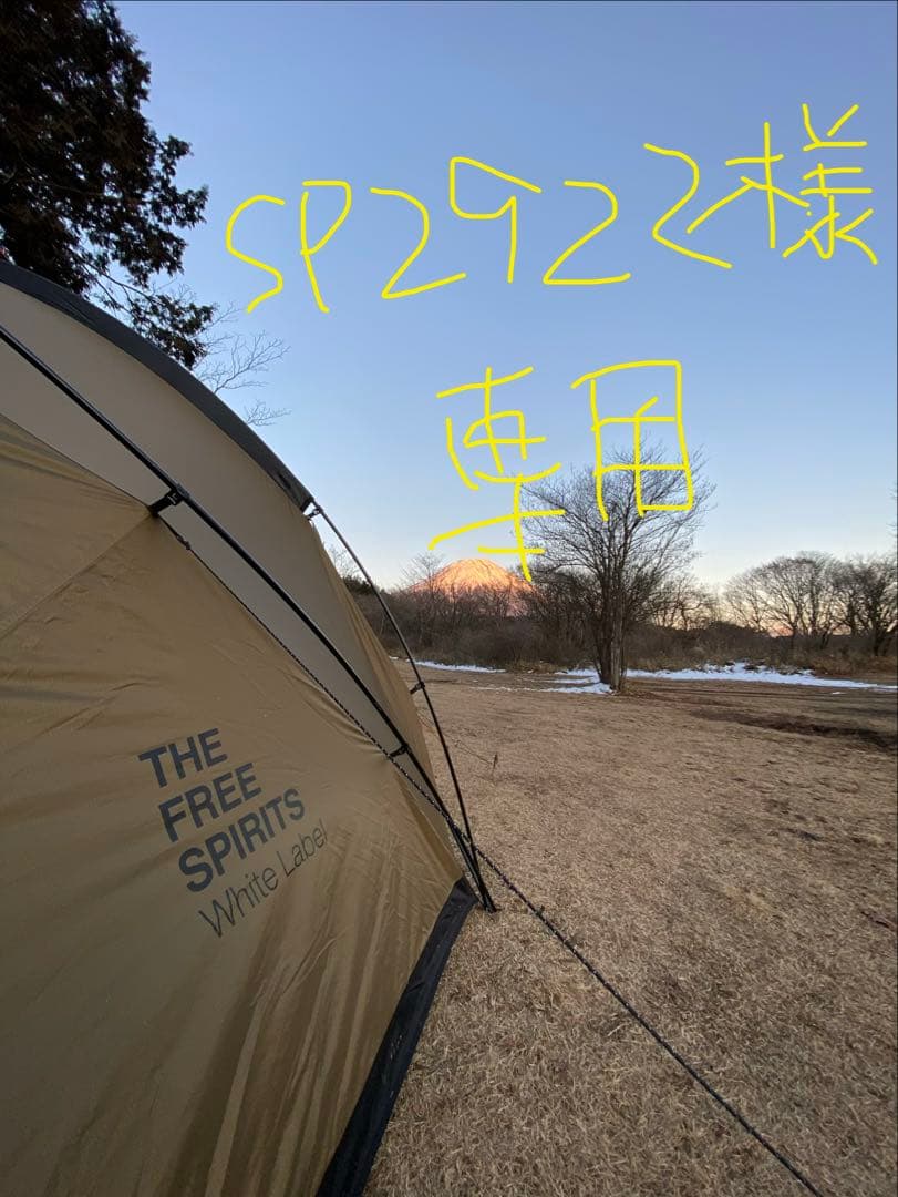 【激レア】／TFS SkyDome シルバーコーティング　ブラウン