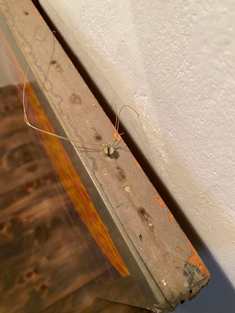 ASTRAL BODY 額装ポスター Klarwein ビンテージ