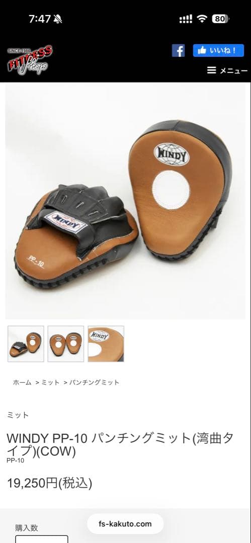 WINDY PP-10 パンチングミット