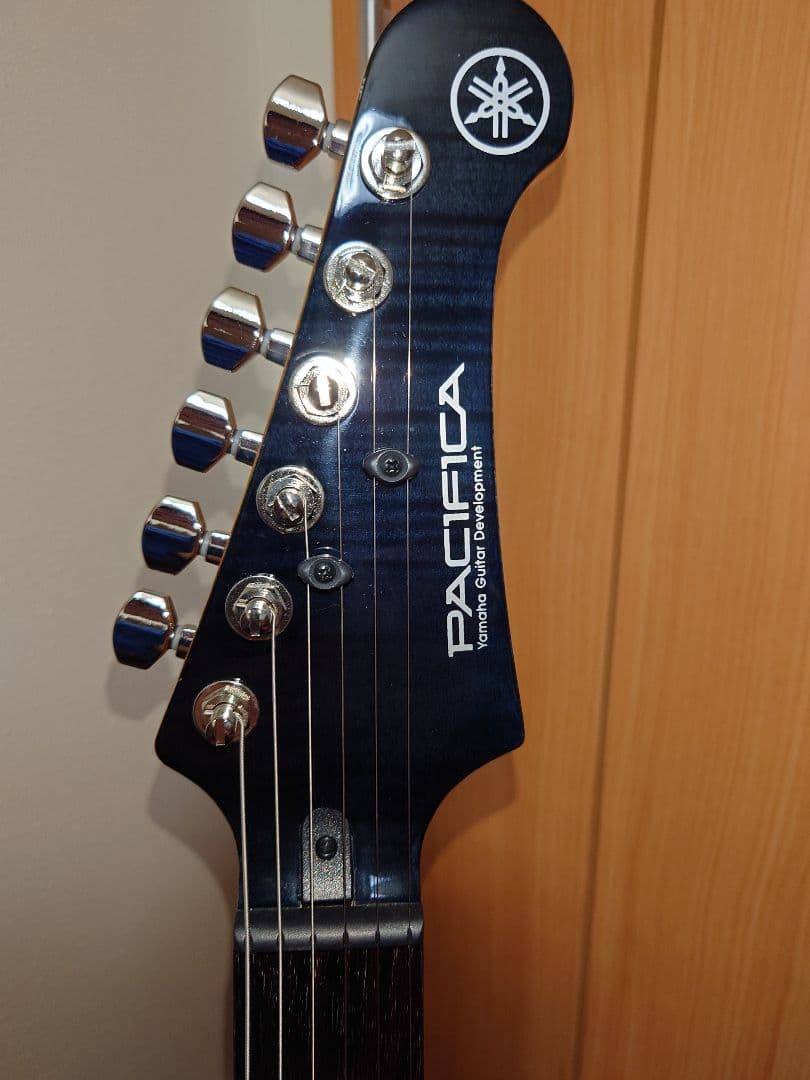 PACIFICA611VFM TBL ぼっちざろっくカスタム