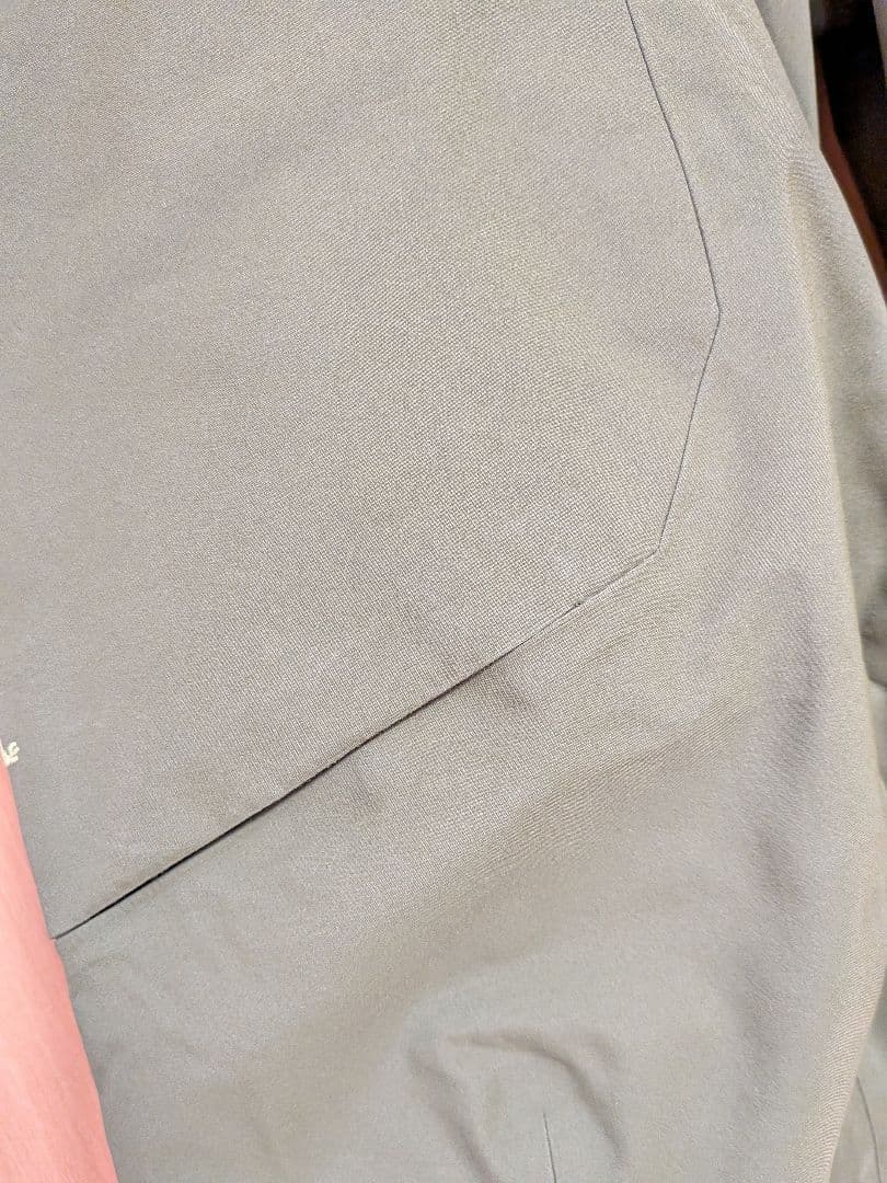 Arc'teryx センチネル AR パンツ Lサイズ WOMEN