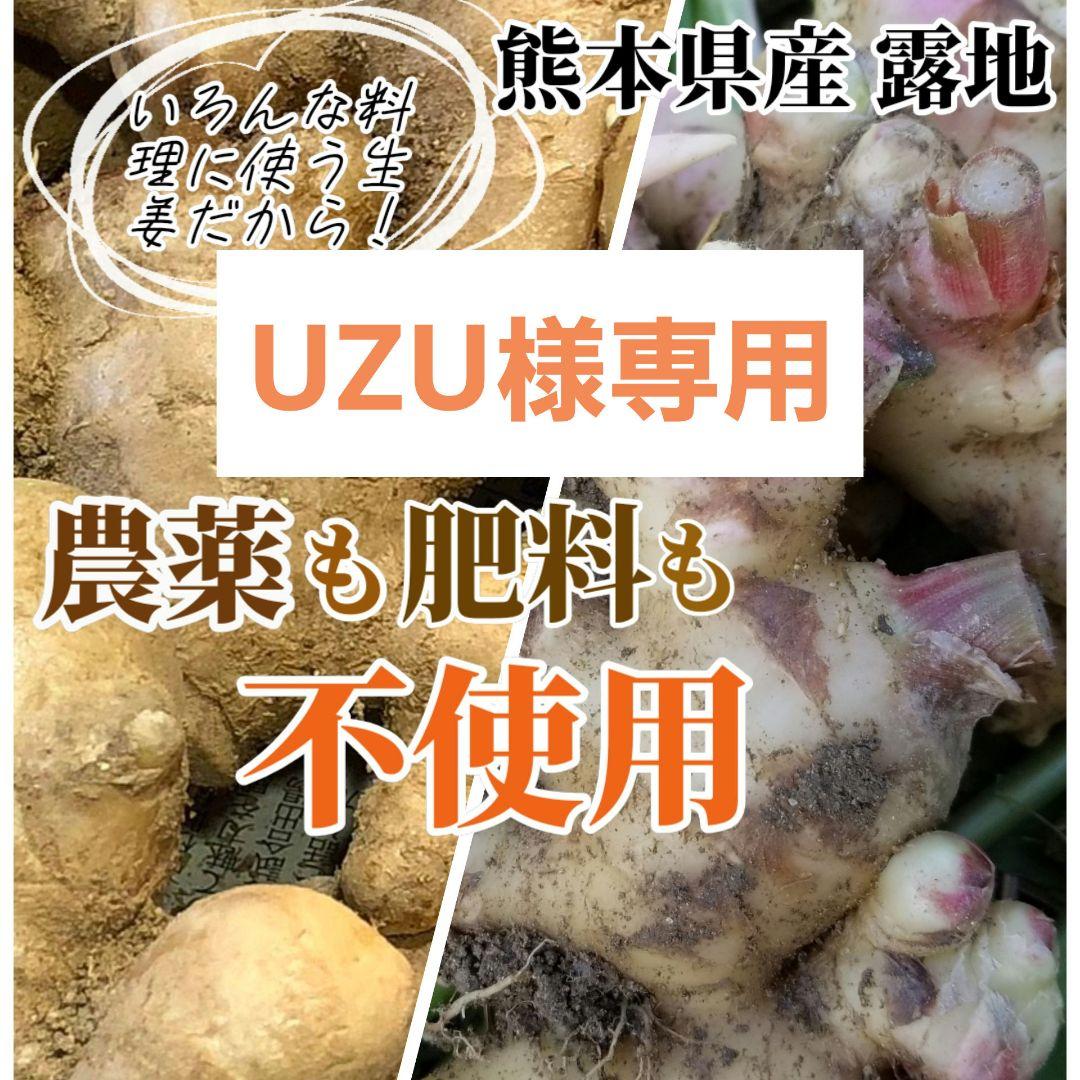 UZU 生姜親子セット 新生姜4kg 古根1.6kg 農薬肥料不使用