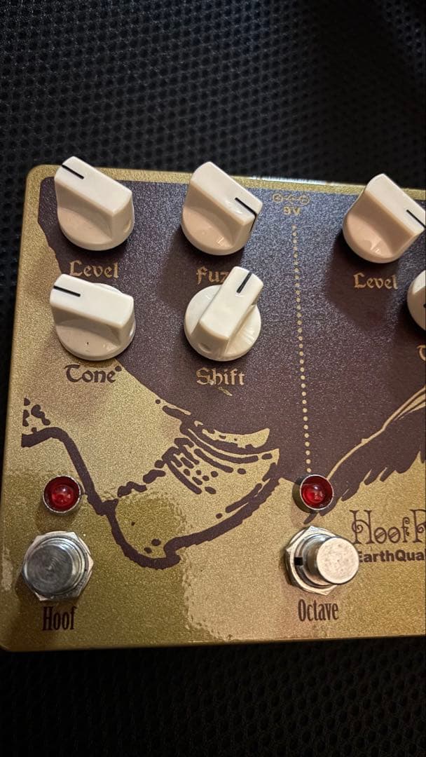 【廃盤品】Earth Quaker Devices Hoof Reaper