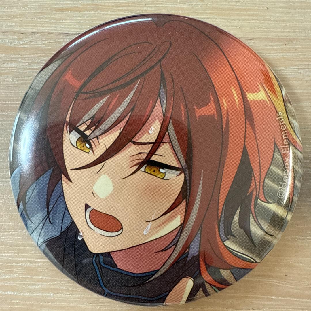 逆先夏目 あんスタ コレクション缶バッジ 2025 Jun Casual 30個