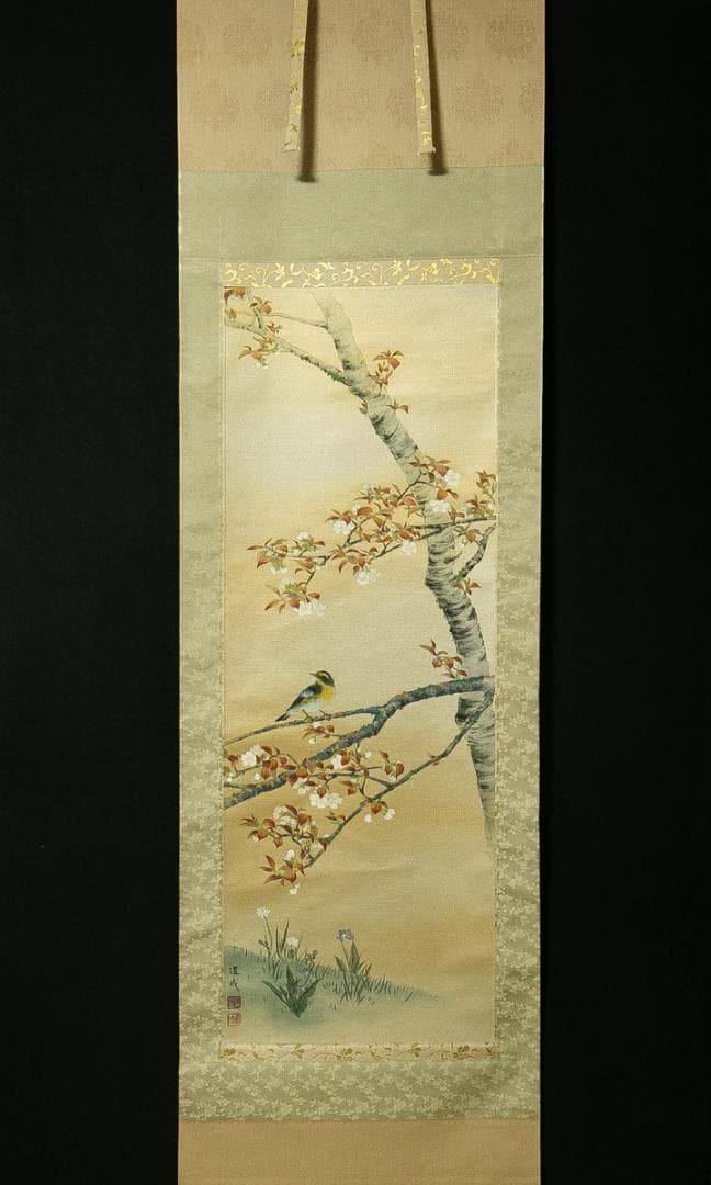 掛軸-1769　国井道成　山桜　共箱