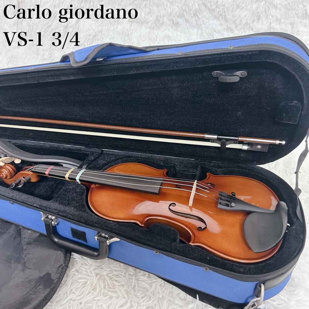 【極美品】2018年製 Carlo giordano VS-1 3/4