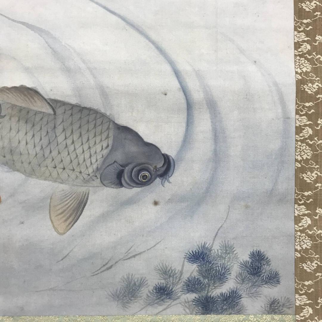 【真作】田能村直雙/鯉図/遊鯉図/コイ図/双鯉図/掛軸/名家伝来/AD-270