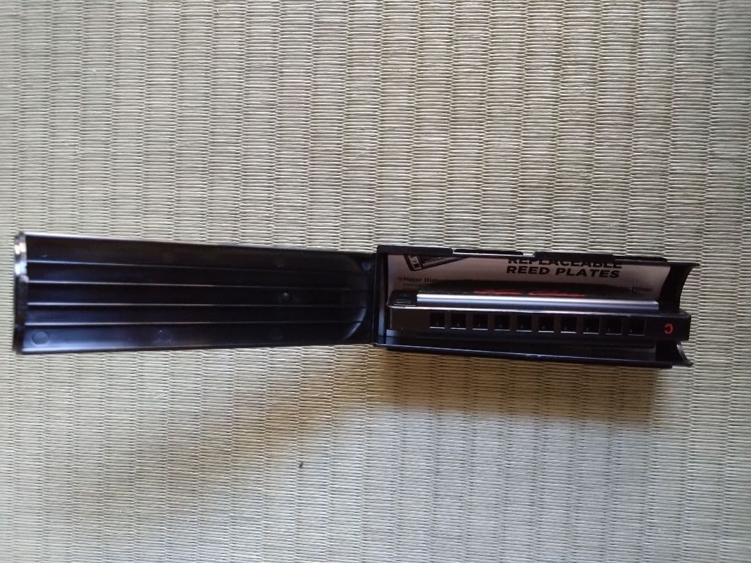 ローリング・ストーンズのミックジャガーのハーモニカ