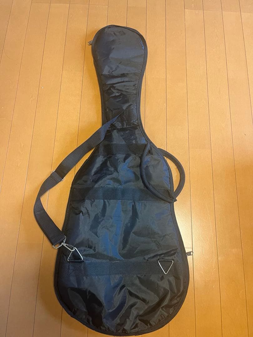 Bacchus / BST-2-RSM/M OWH ギター、ケースセット