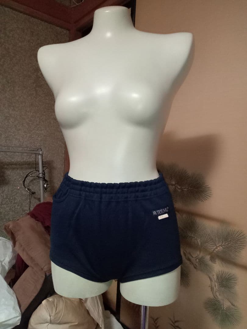 ブルマ　学販タイプ　TEIEMU 　LLサイズ69