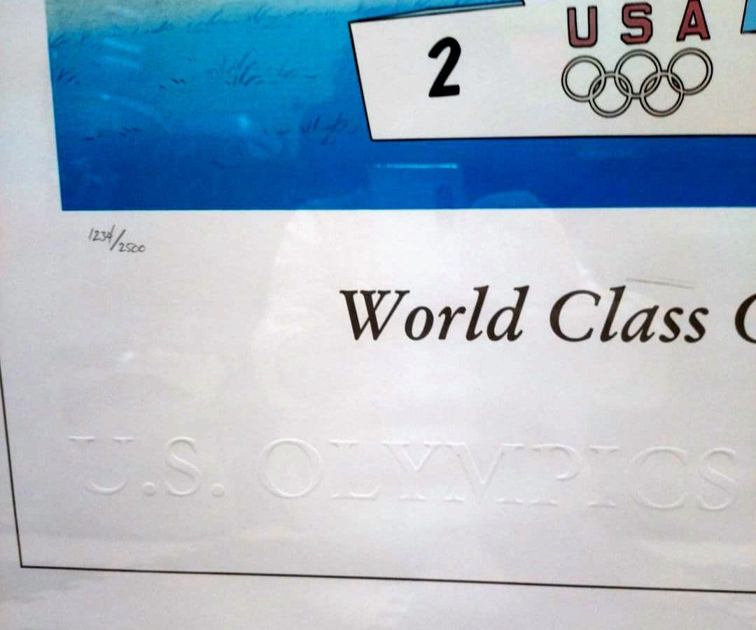 ワーナー・ブラザーズWorld Champions 1234／2500　71cm