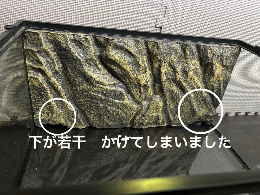 エキゾテラ GEX EXOTERRA GEX 6030 手渡し限定