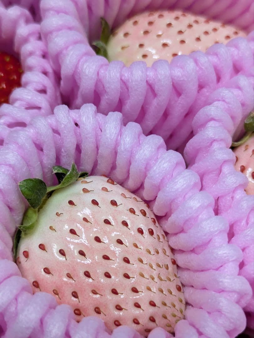 める♡紅白苺１箱♡赤苺３箱♡