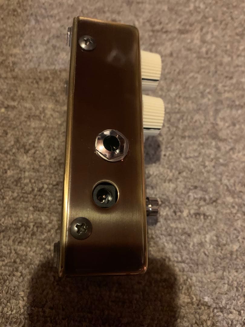 ギター VEMURAM / Jan Ray