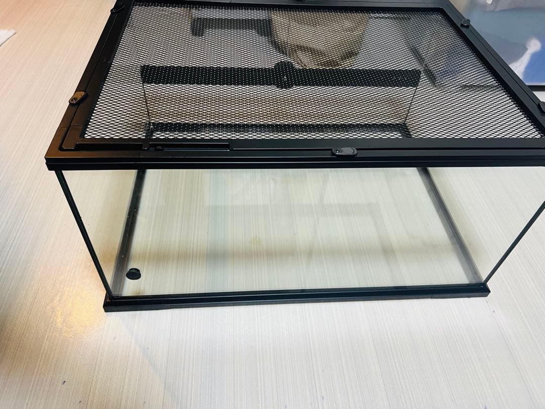 爬虫類ケージ　レインフォレストタンクL Low30