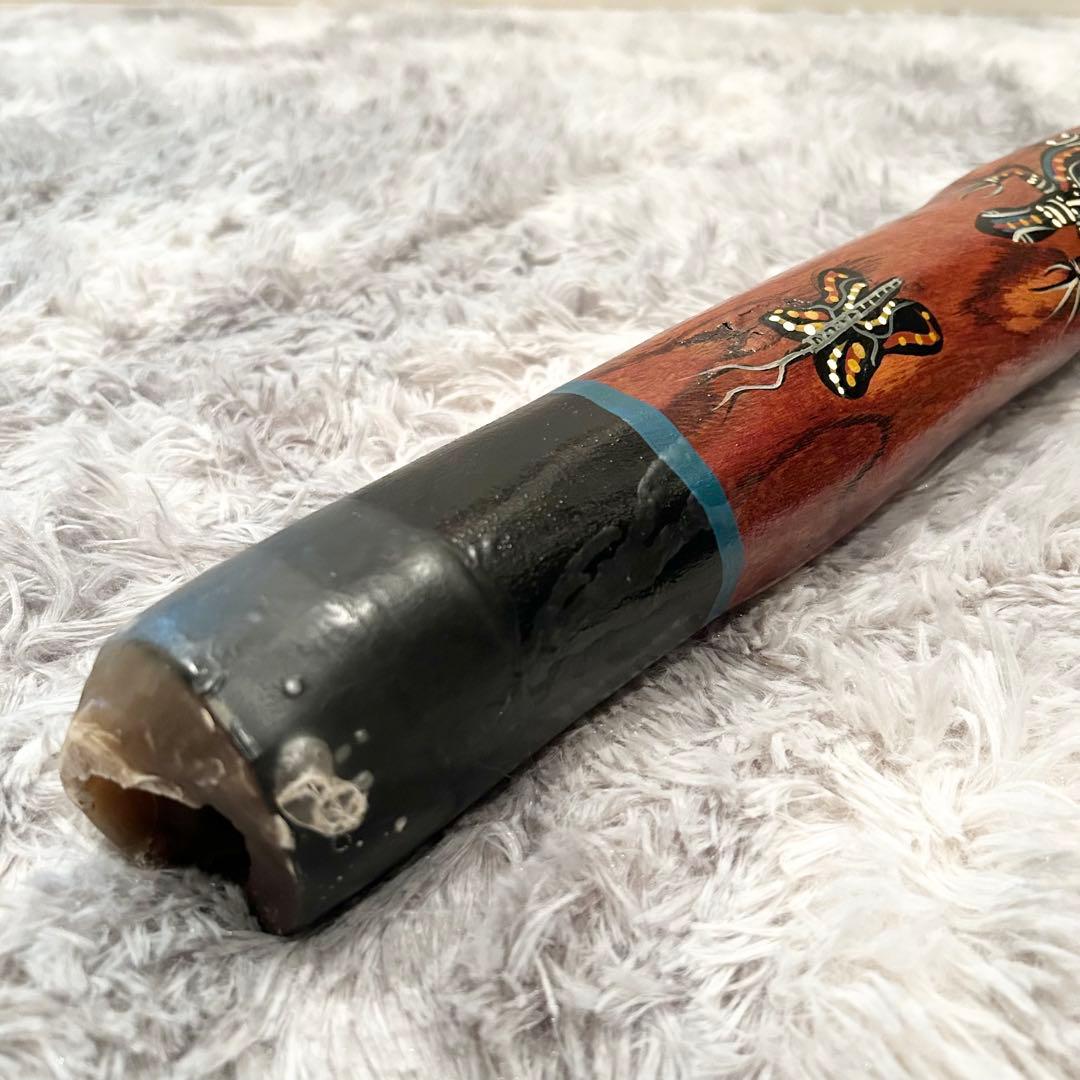 希少 イダキ 楽器 ディジュリドゥ 管楽器 オーストラリア