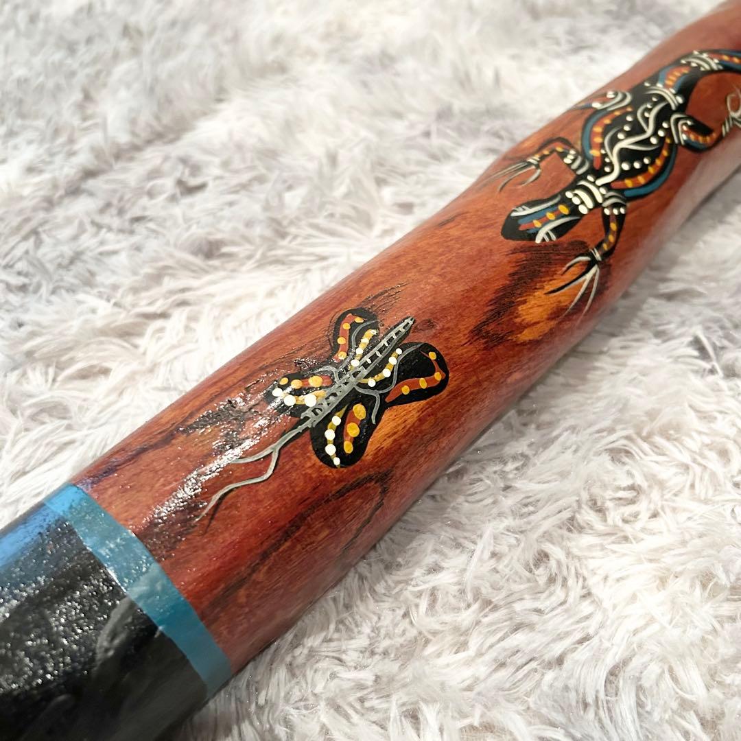 希少 イダキ 楽器 ディジュリドゥ 管楽器 オーストラリア