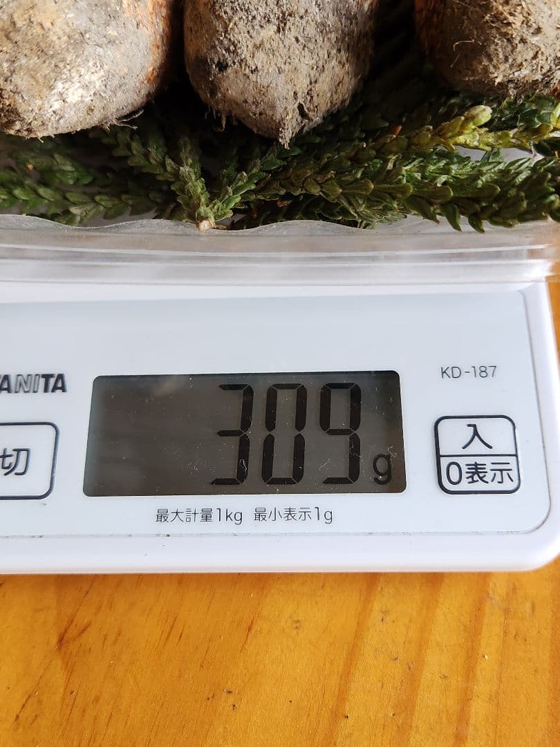 北海道産松茸　309g