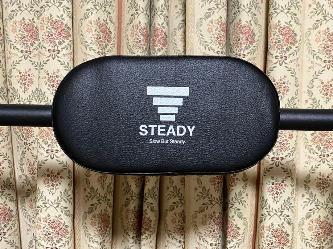 STEADY 懸垂マシン　組み立てのみ　未使用 直接受け取りのみ