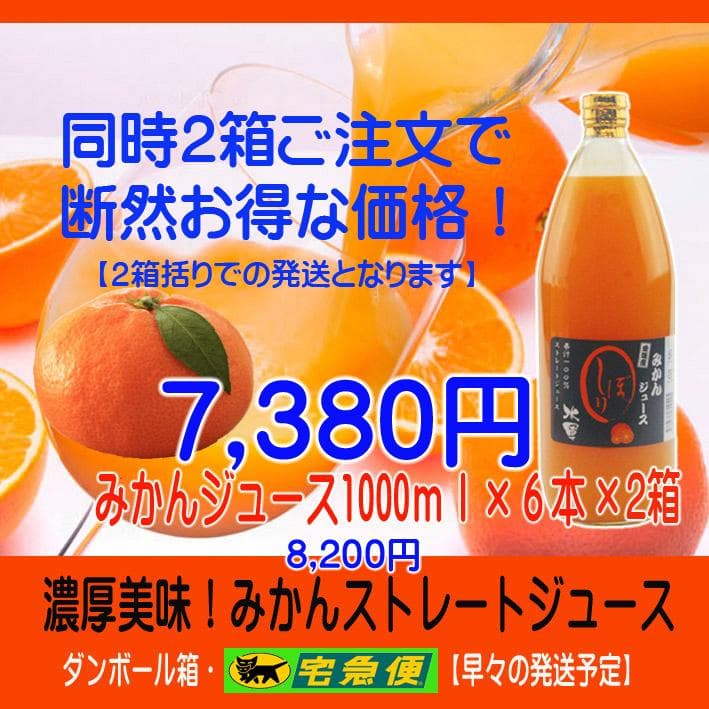 【Michi】みかんジュース1000ｍｌ×12本×２個口発送