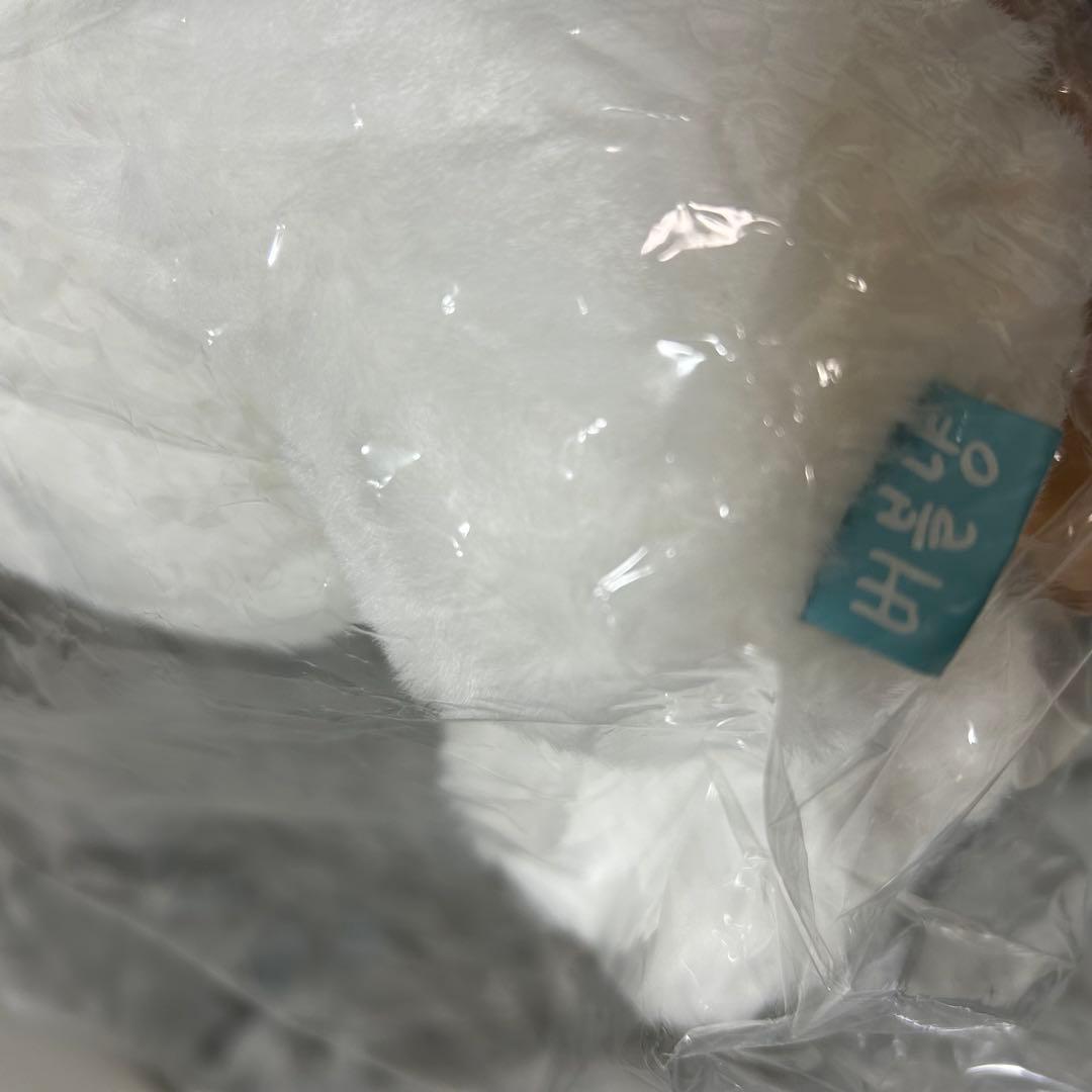 NCT WISH ぬいぐるみ ゆうし ドール キャラクターバック