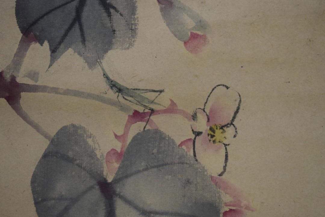 真作/松村景文/秋海棠図/シュウカイドウ図/布袋屋掛軸HI-244