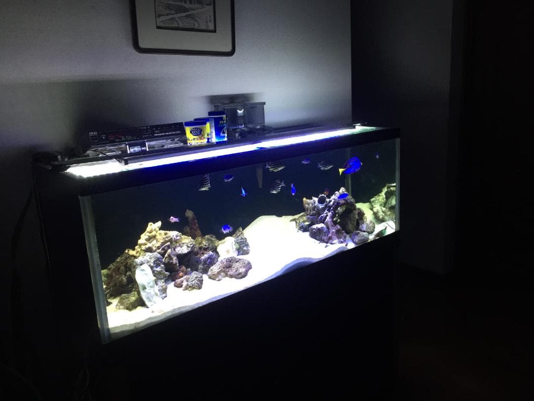 Tetra テトラUV殺菌灯 UV-120【新品・未使用】熱帯魚 海水魚