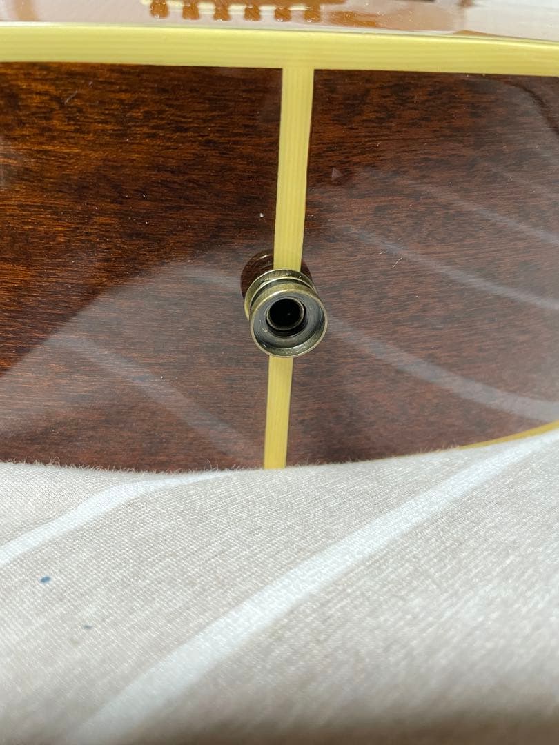 ギター Recording King RP1-16c / Adeline pickup